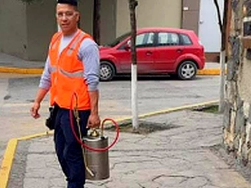 Fumigación México