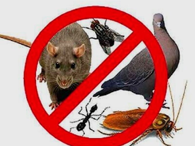 Remoción pacifica fauna México
