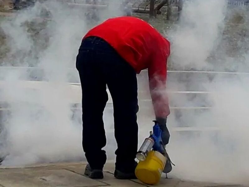 Fumigación Cucarachas México