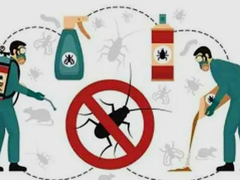 Fumigación Cucarachas México