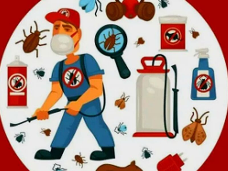 Fumigación Roedores México