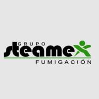 Grupo steamex