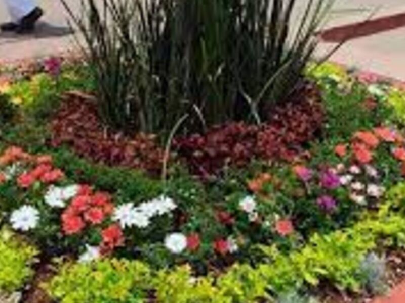 Jardineras Mexico