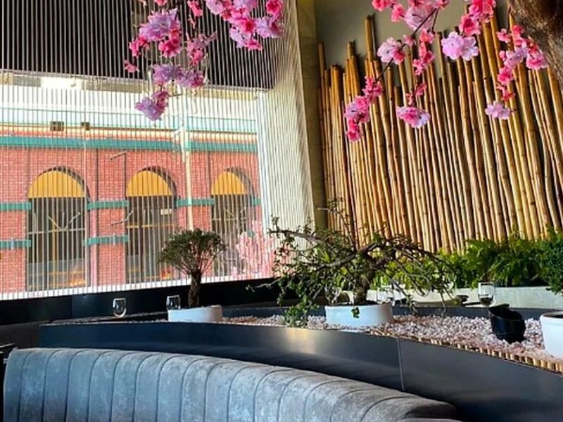 Árboles Bonsai Culiacán
