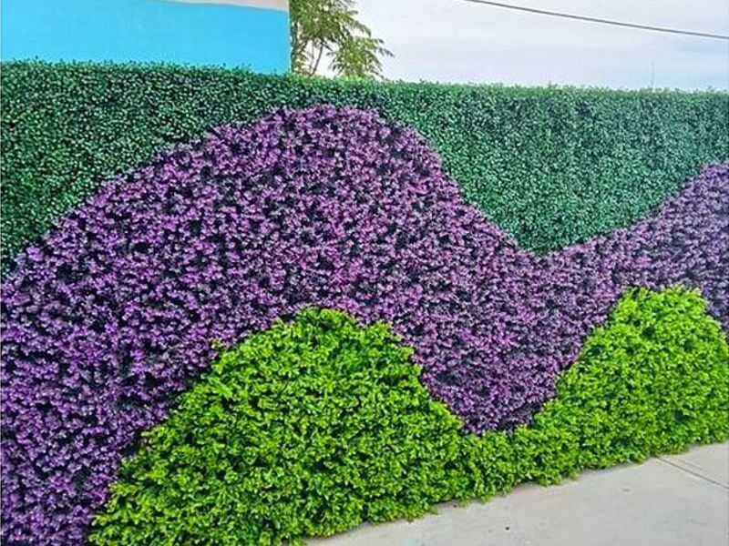 Muros verdes Culiacán
