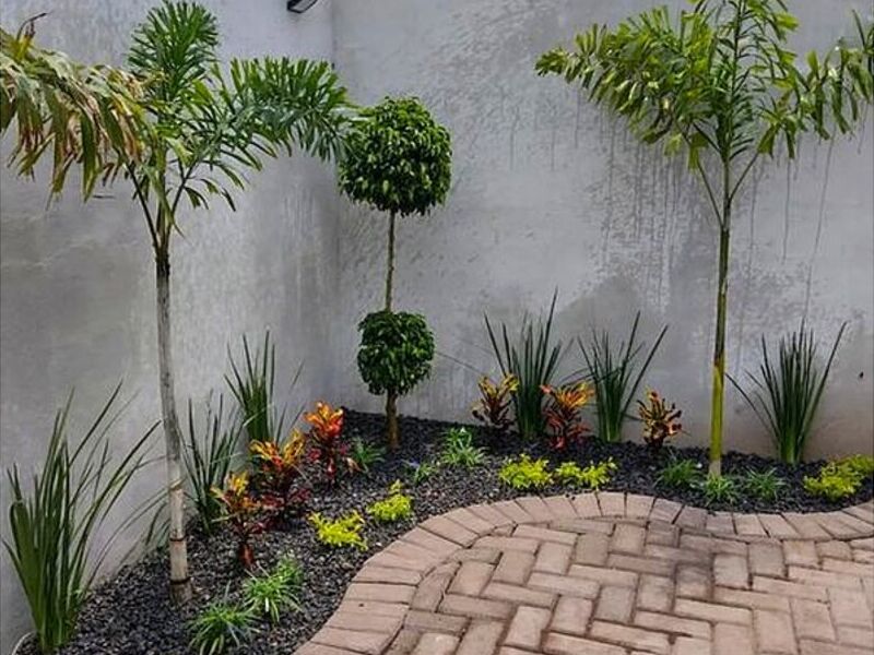 Mantenimiento Jardines Culiacán