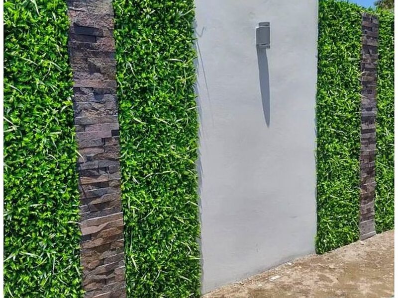 Follaje 3D Culiacán