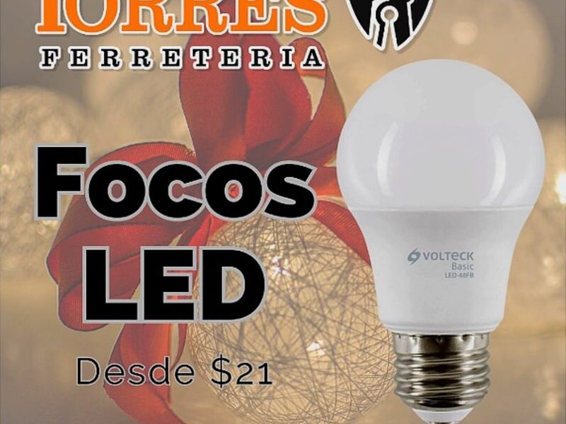 Focos LED Chihuahua