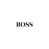 Boss Pinturas