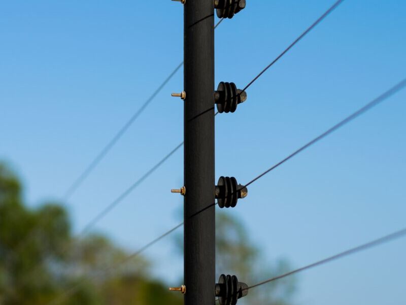 Cercado Electrificado Mexico 
