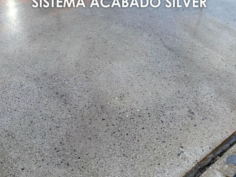 SISTEMA SILVER CDMX