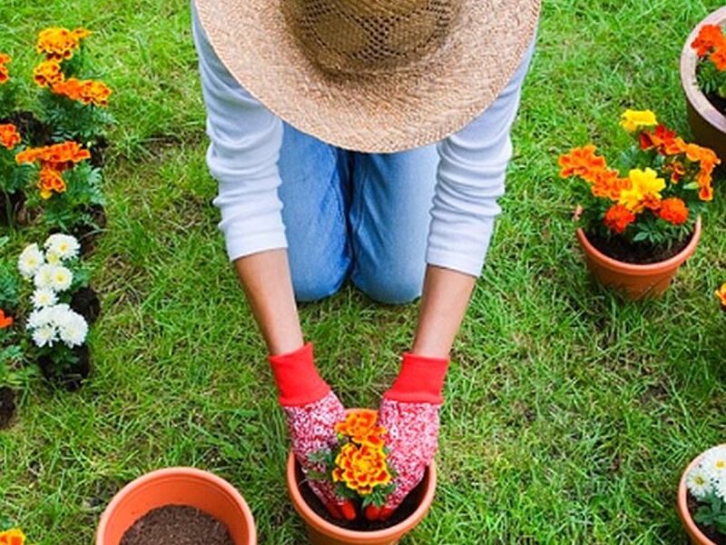 Jardinería México