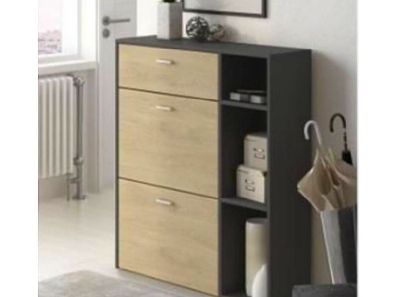 Mueble plomo zapatos
