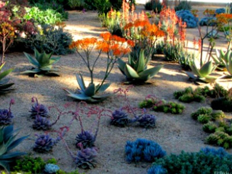 Jardines xéricos Mérida