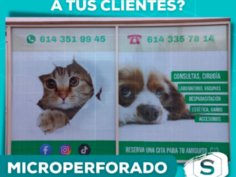 Microperforado Personalizado México