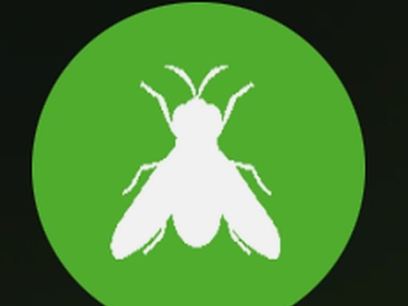 Fumigación Moscas México