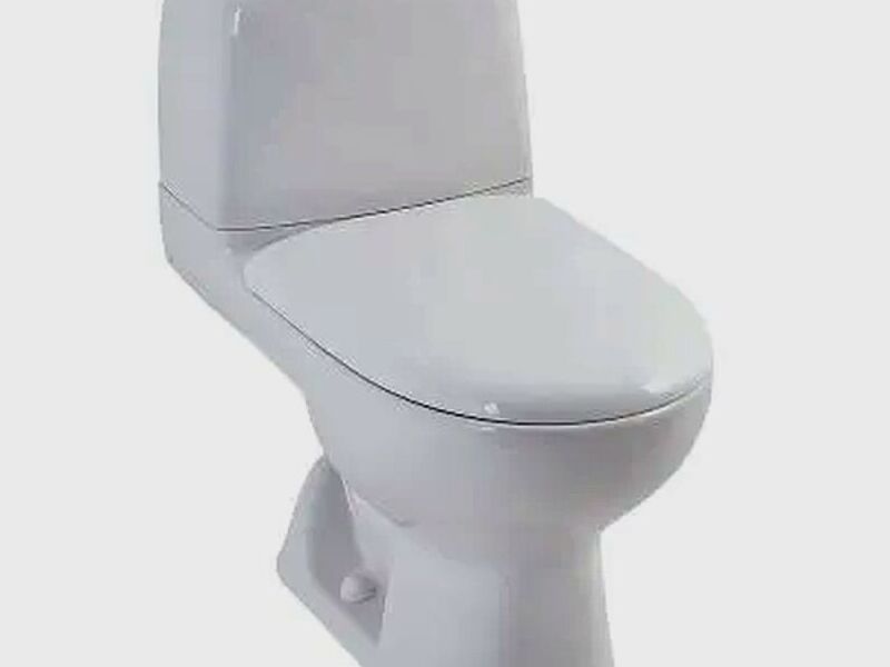 Sanitario Powermax Dos Piezas México