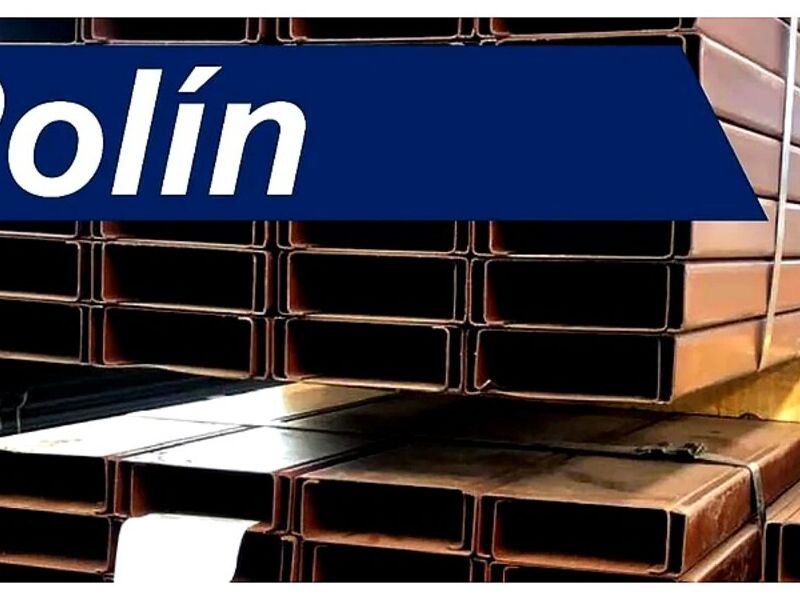 Perfil Polin México