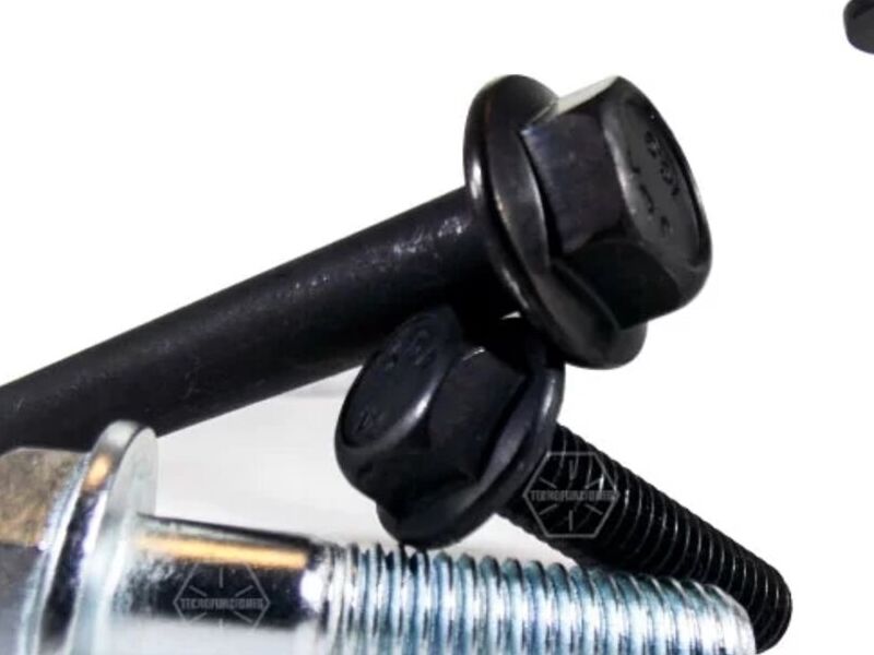 Tornillo Flange México