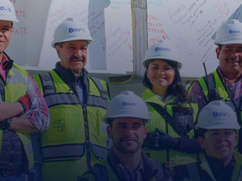 Design and Build Bovis 