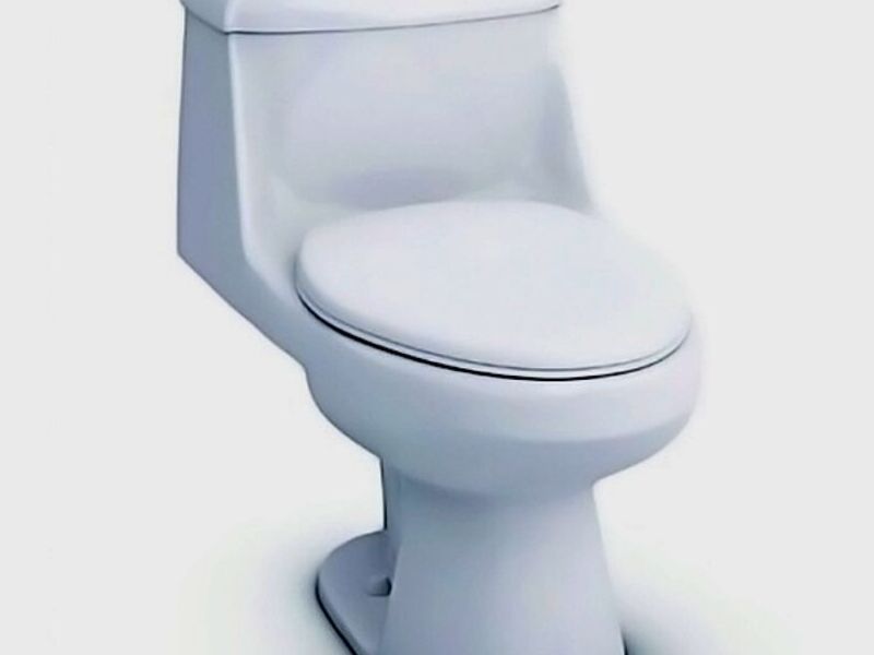 Sanitario venus Mexico