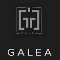 Galea