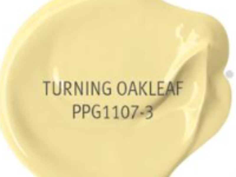 TURNING OAKLEAF Mexicali