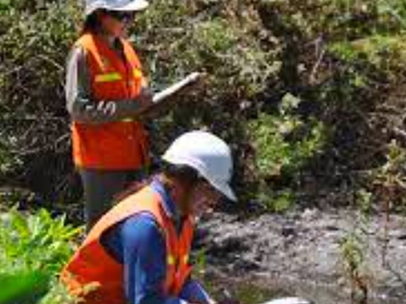 Estudios de impacto ambiental México