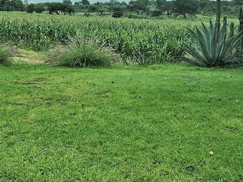 Venta rancho Metepec