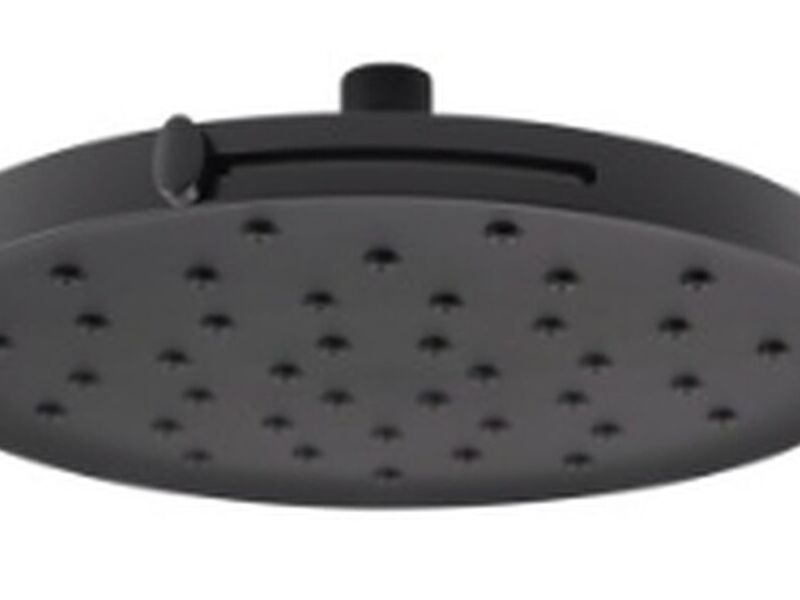 Regadera flujo variable negra México