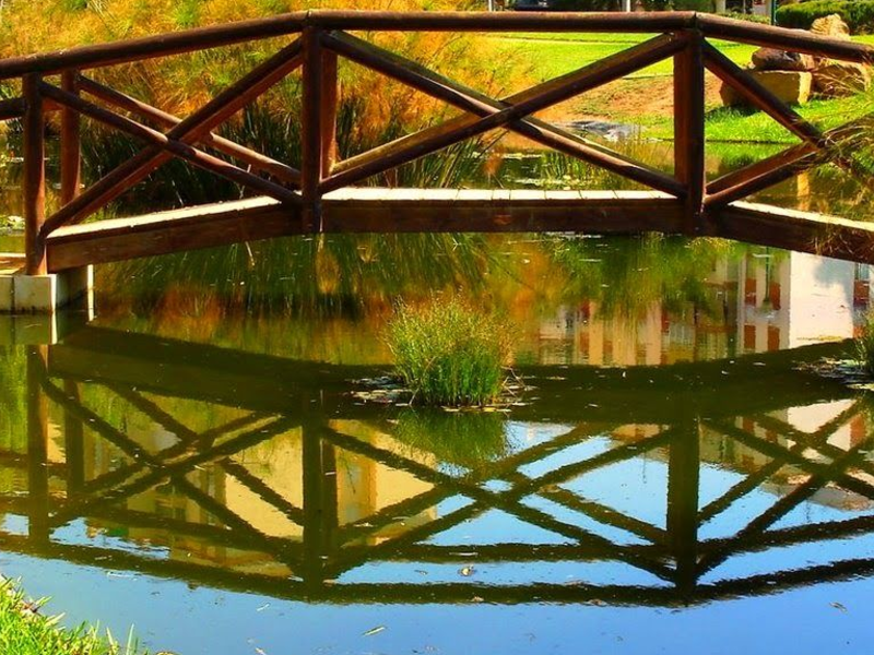 Puente madera México