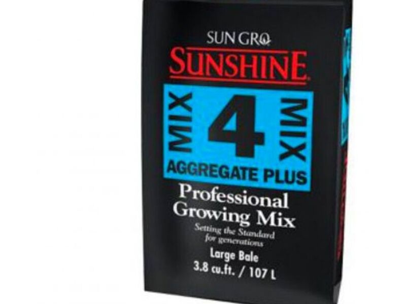  Sunshine Mix 4 MEXICO
