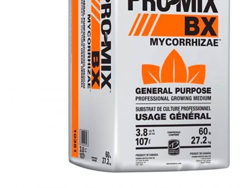  Pro mix Bx Micorrizas MEXICO