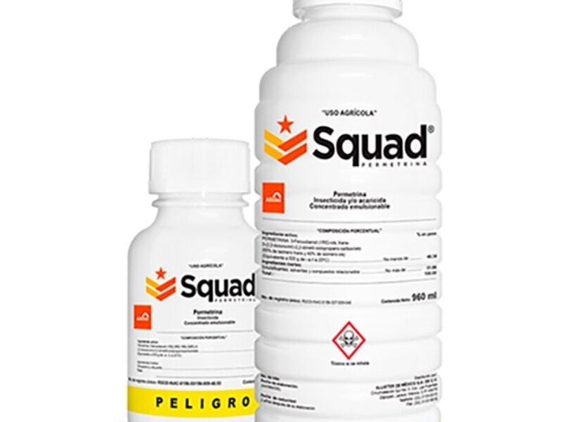 Squad® 250ml MEXICO