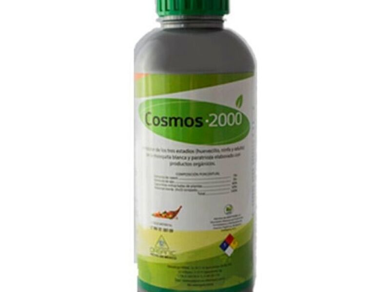 Cosmos 2000 MEXICO