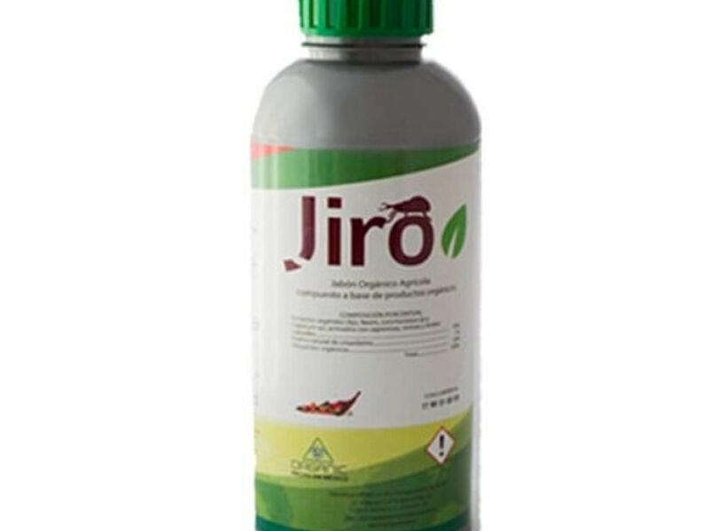 Jiro MEXICO
