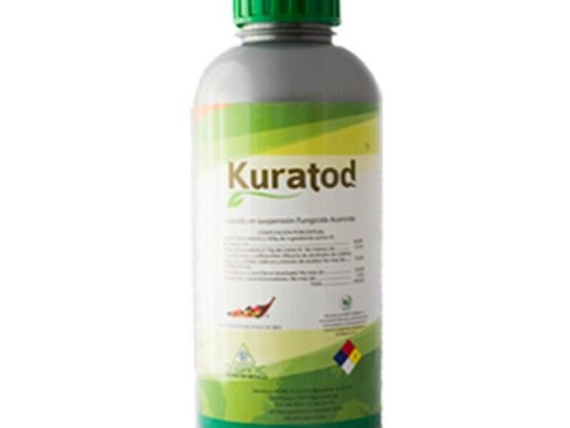Kuratod MEXICO