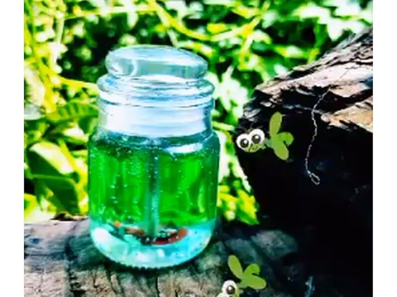 Velas Citronela México