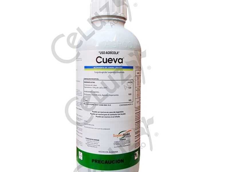  Cueva MEXICO