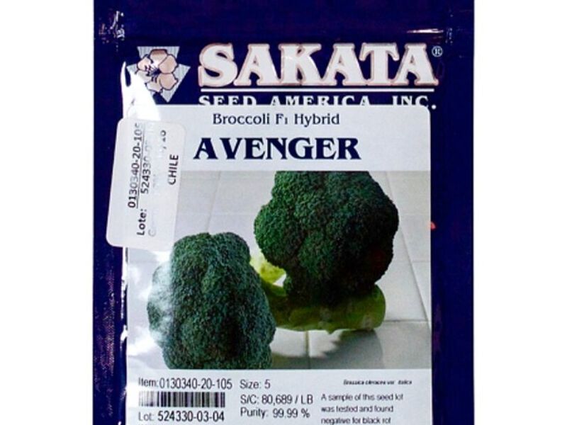 Brócoli Híbrido Avenger Sakata MEXICO