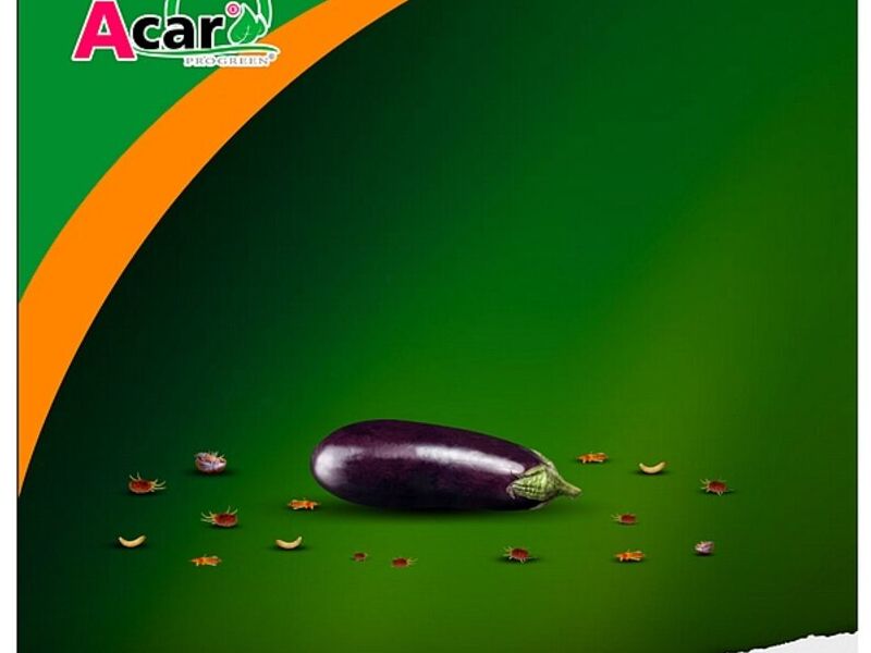 ACAR MEXICO