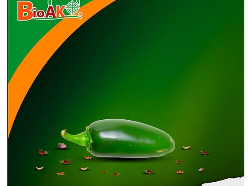 BIO AK MEXICO