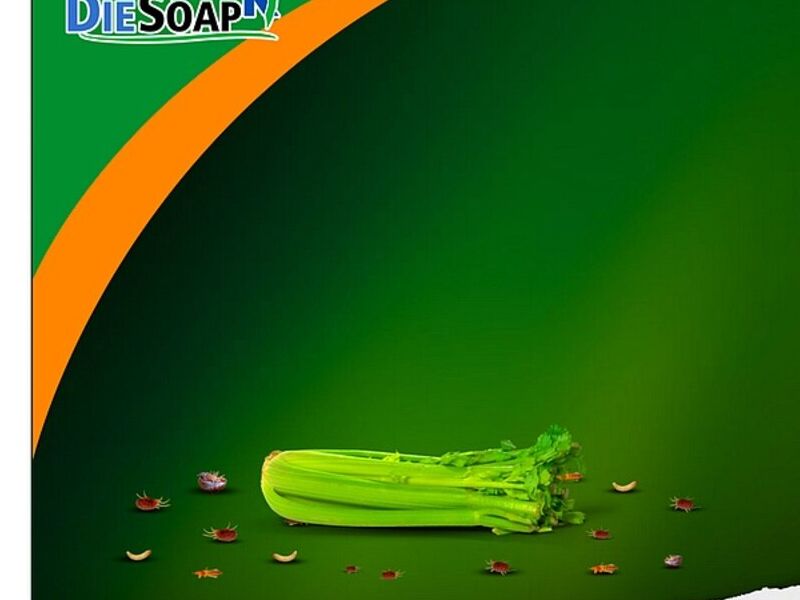 DIE SOAP K MEXICO