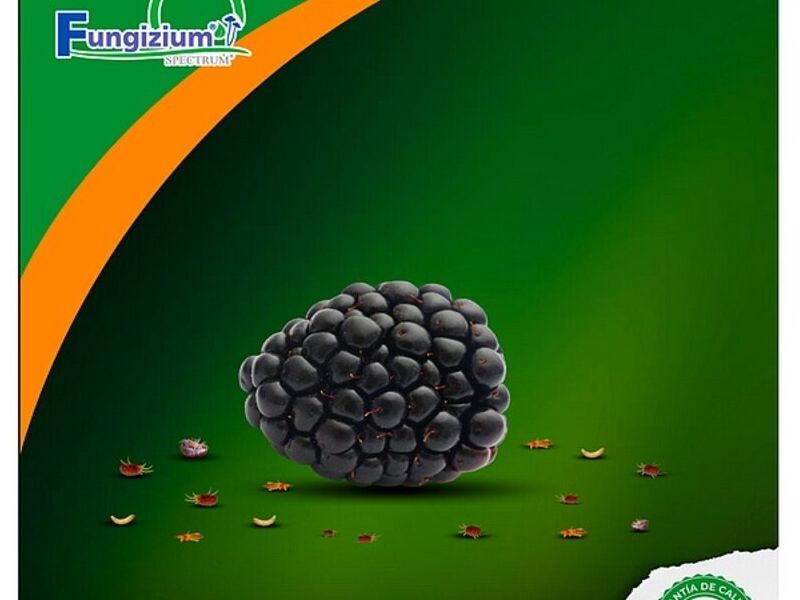  FUNGIZIUM MEXICO