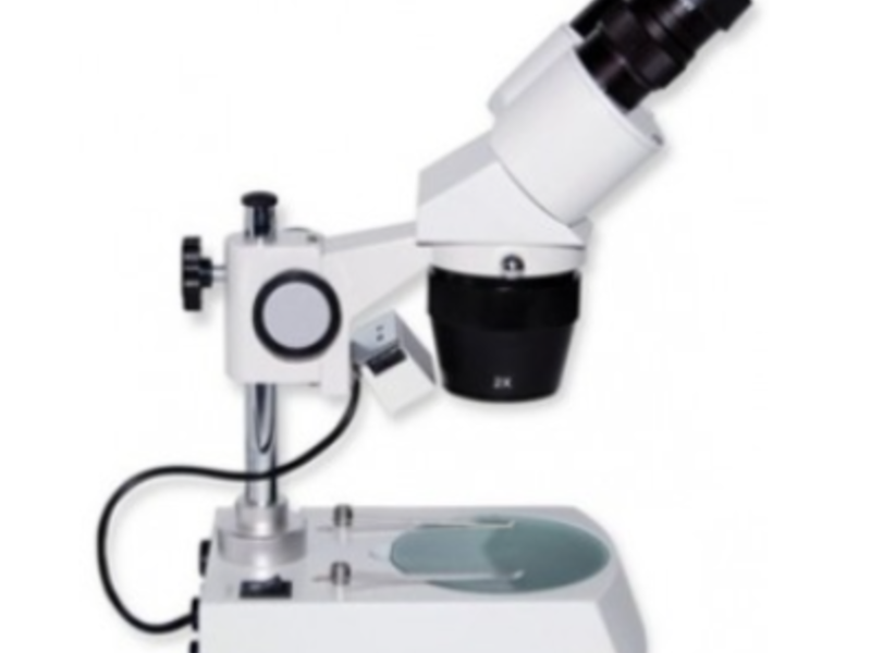 MICROSCOPIO BINOCULAR JALISCO