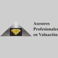 Asesores Profesionales en Valuacion