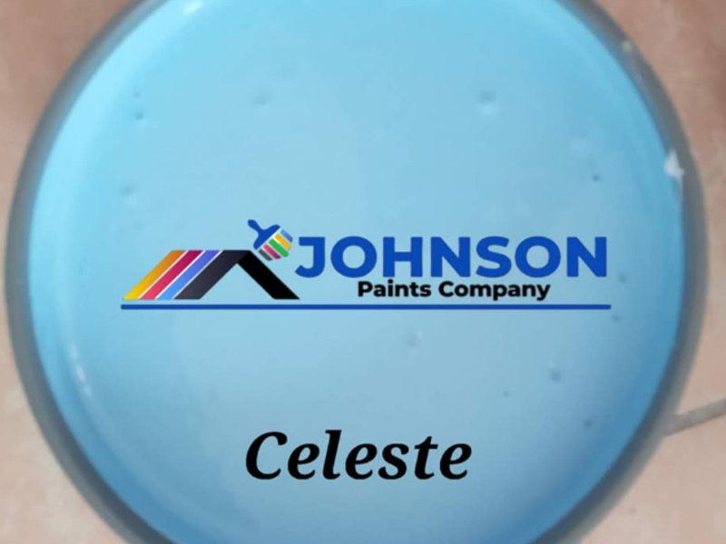 Pintura Interior Johnson Celeste Pozo
