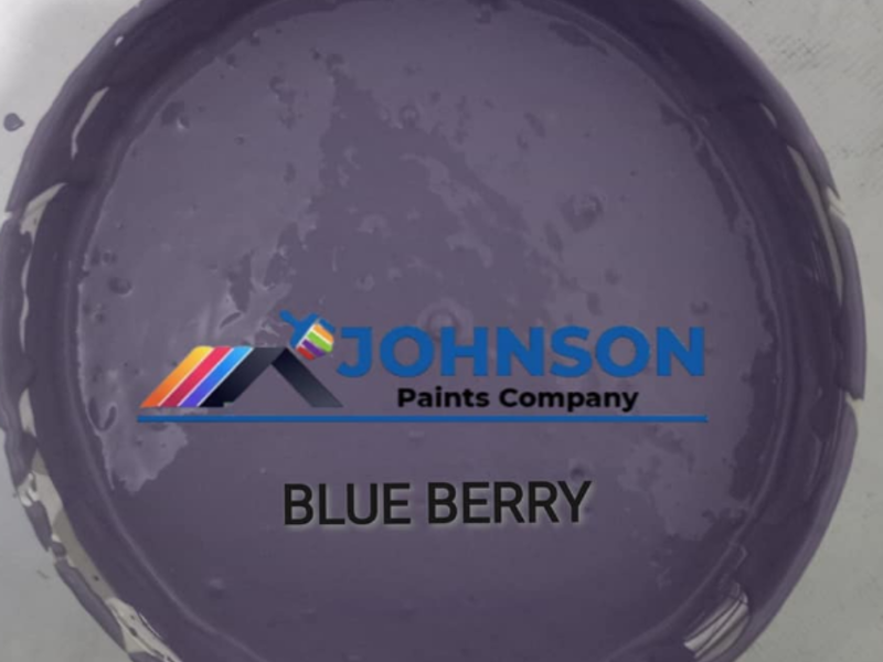 Pintura Interior Blue Berry Pozo