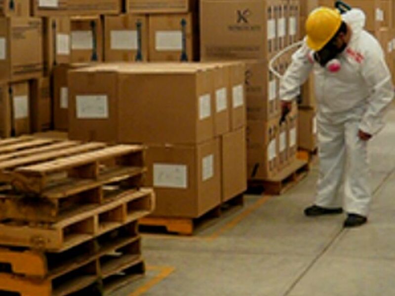 Control hormigas México