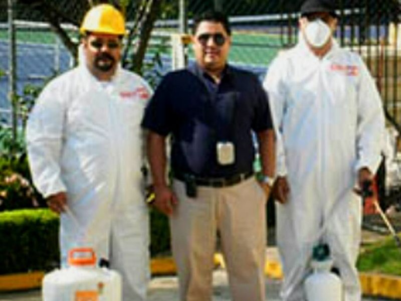 Fumigación Insectos México